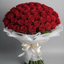 Букет 101 Красная роза Блэк Мэджик в Камень-Рыболове