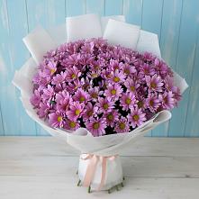 Букет цветов из:  Хризантемы в Камень-Рыболове