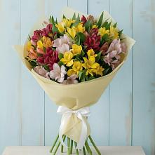 Букет цветов из:  Альстромерии в Камень-Рыболове