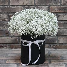 Цветочная композиция из Гипсофила в шляпной коробке в Камень-Рыболове
