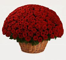 Премиум букет из: Розы в Камень-Рыболове