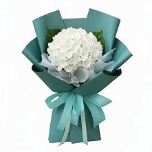 Букет цветов из:  Гортензия #REPLACE_PRED# Камень-Рыболове